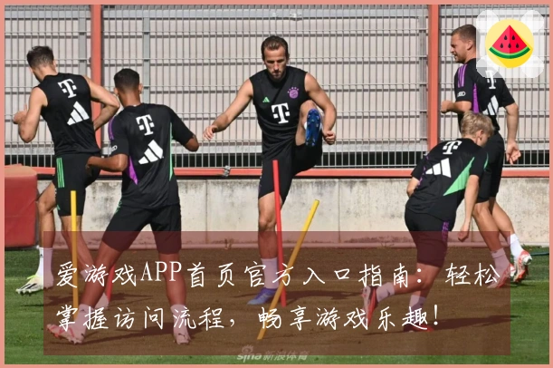爱游戏APP首页官方入口指南：轻松掌握访问流程，畅享游戏乐趣！