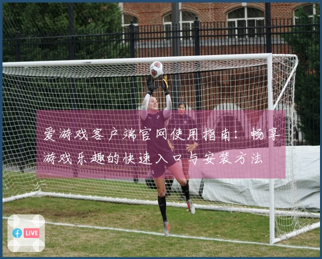 爱游戏客户端官网使用指南:畅享游戏乐趣的快速入口与安装方法